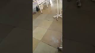 Sardha Behan Hospital Live Video