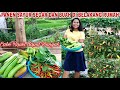 PANEN SAYUR,BUAH&CABE RAWIT BARENG ANAK LANANG HASIL MELIMPAH RUAH ||Renny wong ndeso