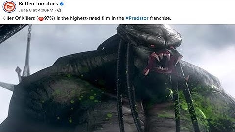 Is Killer of Killers Actually That Good