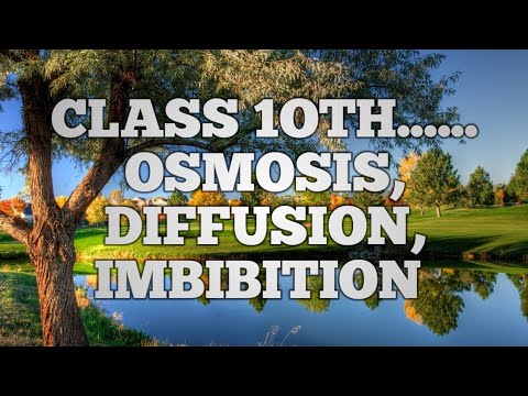 Terms related.... Osmosis ,diffusion ,imbibition..