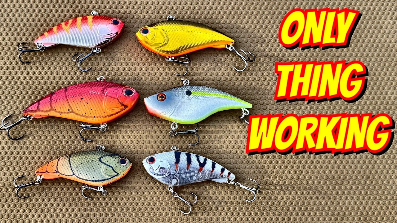 STOP Fishing Lipless CranksLike a Chatterbait (Cold Water)