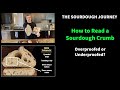 NEW!: How to Read a Sourdough Crumb: Underproofed or Overproofed?