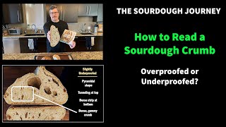 NEW!: How to Read a Sourdough Crumb: Underproofed or Overproofed?