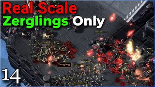 Real-Scale Zerglings Only! - Sky Shield - pt.14