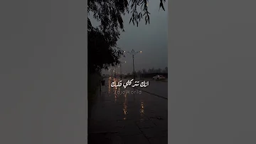 اليسا غمرني هالليلة عيدي Shorts 