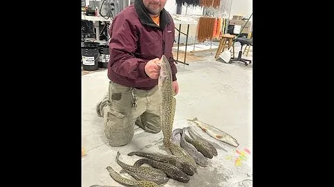 Burbot 2022 "Ling Dinger"  on Flaming Gorge -- With Colton Christensen