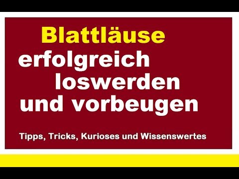 Video: Ätherische Öle Für Läuse