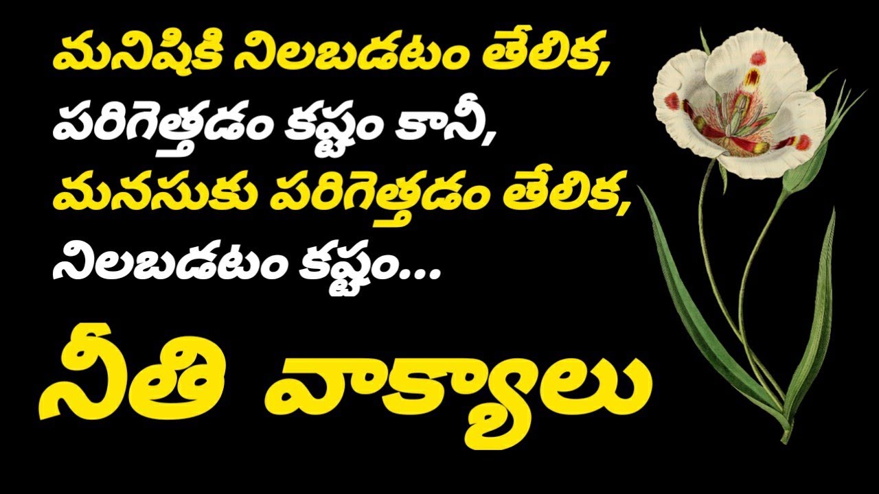 Telugu quotes  437  motivation speech  neethi vakyalu  sukthulu  manchi matalu