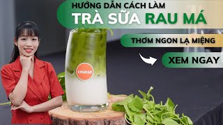 Mẹo Vặt 4 : Hướng Dẫn Cách Làm Trà Sữa Rau Má Thơm Ngon Lạ Miệng | Vinbar