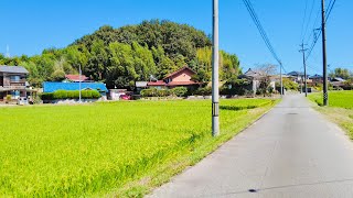 【4K】Japan Cycling Tour - Bike Ride in Japanese Countryside | Nagoya Japan 2021/9 #3