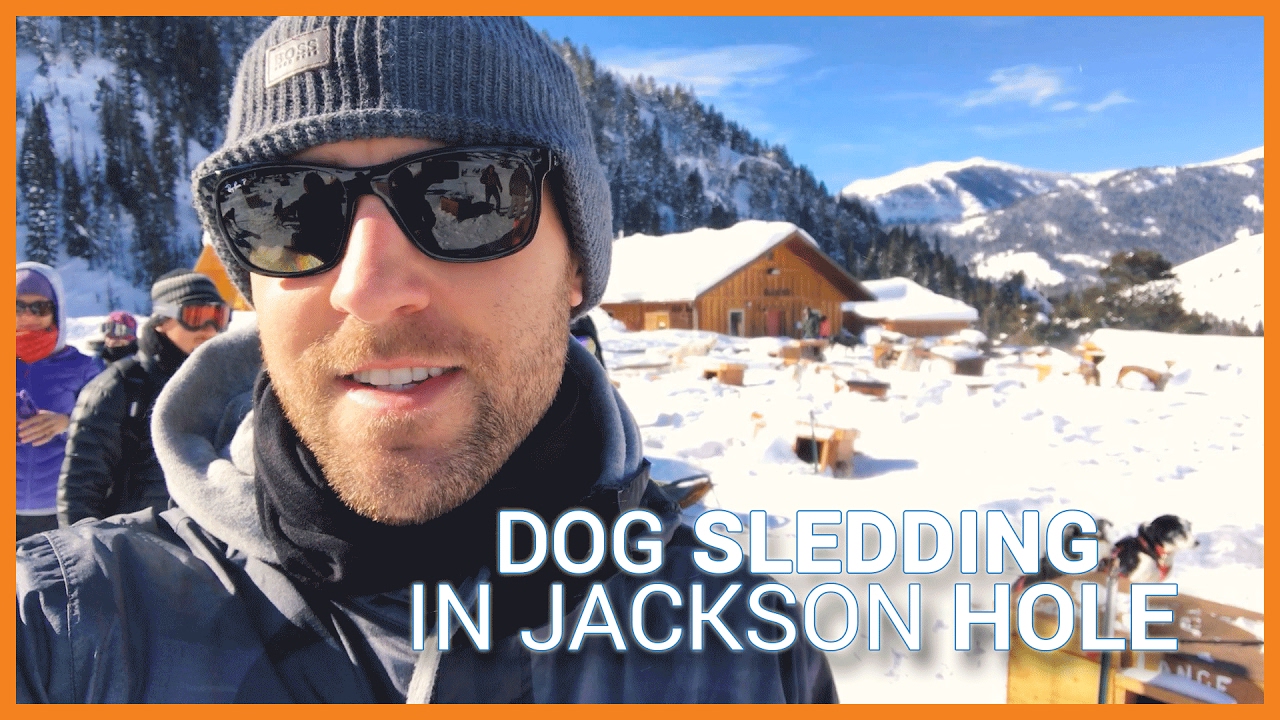 Dog Sledding in Jackson Hole Stefan James Vlog YouTube