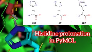 Histidine protonation evaluation (part II)