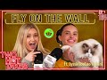 Wanna be a fly on the wall ft lyssielooloo concretecrotchkiss  two hot takes podcast