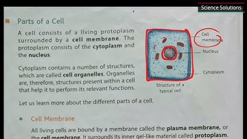 DAV Class 8 Science chapter 1 Cell - it