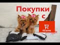 Покупки с AliExpress для собак