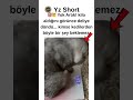 “Baskül Şoku! Kedi Çıldırdı 😾⚖️🐾” #kedi #komikkedi #cat #catshorts #funn...