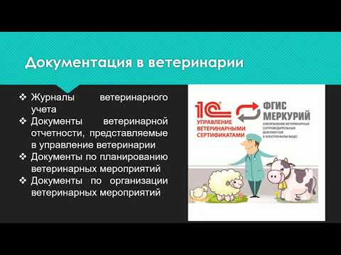 Организация и Управление Ветеринарной Деятельностью | Вводная Лекция