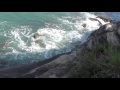 Praia de Guaecá - São Sebastião - SP