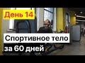 Спортивное тело за 60 дней | День 14