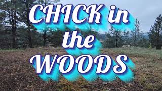 Chickens Free Ranging & Enjoying Apples and Pears  Relaxing Farm ASMR With Music screenshot 2