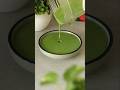 Easy Coriander Mint Chutney Recipe Fresh Flavorful Easy Coriander Mint Chutney Recipe Fresh Flavorful