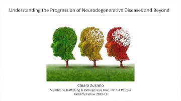 Understanding the Progression of Neurodegenerative Diseases | Chiara Zurzolo || Radcliffe Institute