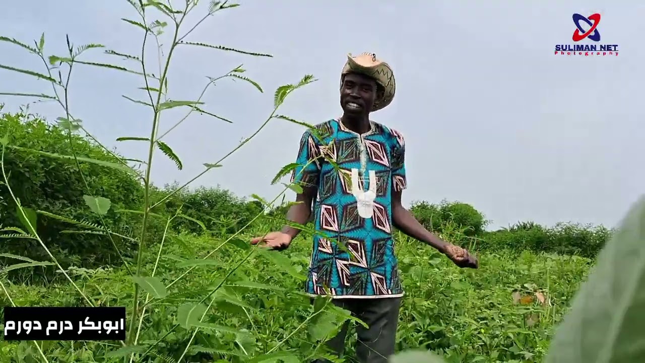 الفنان :دروم دورمDoromdórom