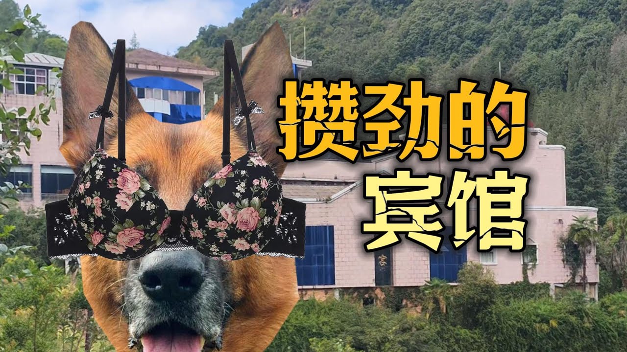 全是攒劲的节目和大狗，探索云南玉溪有过都市传说的宾馆