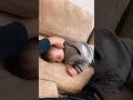 اوليدي وليدي اكسبلور Worldcup Worldcup اوليدي وليدي اكسبلور Worldcup Worldcup