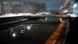 綾瀬川 内匠橋 のライブ映像