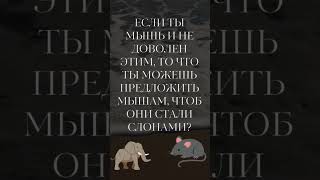 Если ты мышь и не доволен этим, то что ты можешь предложить мышам, чтоб они стали слонами? #зиновьев