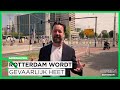 Rotterdam wordt steeds warmer: in 2050 meer doden door hitte dan door griep of verkeer | SAMENLEVING