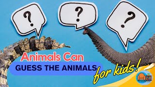 Guess the Animal / Animal Guessing Game
