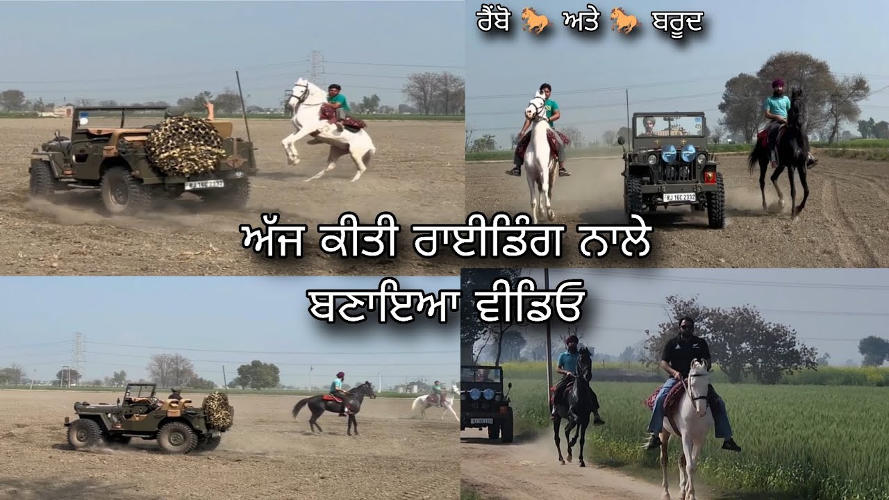 ਅੱਜ ਆਪਾਂ ਗਏ ਝੰਡੇਵਾਲਾ ਫਾਰਮ ਤੇ ਬਾਈ ਕੁਲਜਿੰਦਰ ਕੋਲ ਨਾਲੇ ਕੀਤੀ ਰਾਈਡਿੰਗ ਤੇ ਨਾਲੇ ਬਣਾਇਆ ਵੀਡਿਓ 🐎