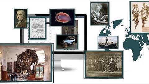 Axiell Collections - Online Collections Management