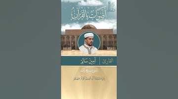آيات بيّنات من سورة الحجرات مع القارئ أمين سالم.