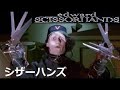Danny Elfman 映画「シザーハンズ」　INTRODUCTION  from  Edward Scissorhands