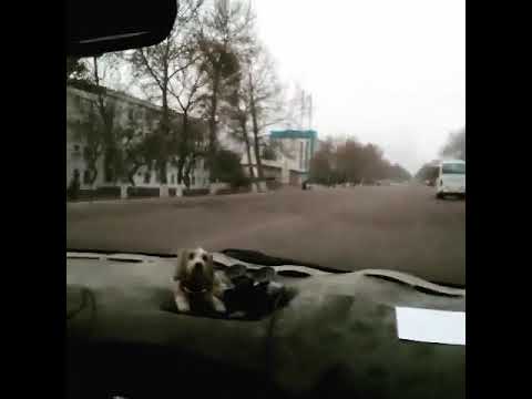 Узбекистан Ташкентская область город Ангрен
