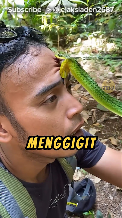 Nge-REVIEW Rasanya Digigit Ular❗😲 @jejaksiaden2687 #videoviral #ular #indonesia