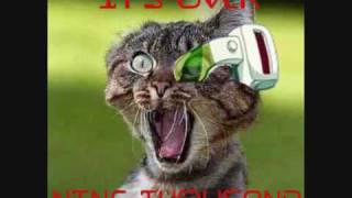Its Over 9000!