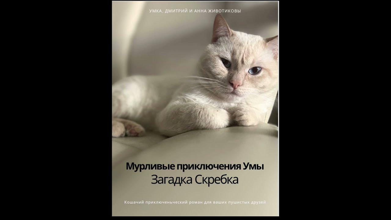 Предисловие от автора котика Умы к его книге «Мурливые приключения Умы ...