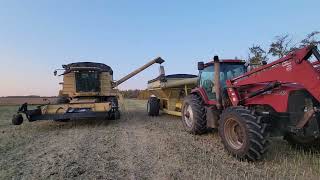 Harvest 23 Is a Wrap....Wheat Oats And Canola!! by Northern farmer 9,446 views 6 months ago 20 minutes