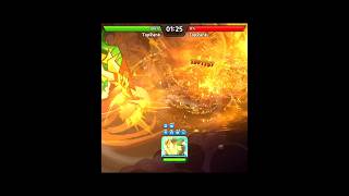 Ananas Dragon Cookie vs Black Pearl Cookie