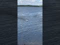 Wave jumping