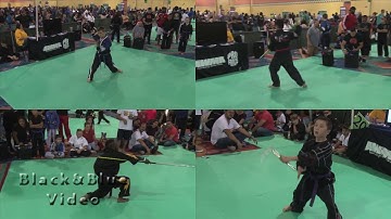 Highlights Forms and Weapons 2016 US Open ISKA Championships Part 2