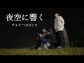【弾き語り】『チェリー/スピッツ』を夜空とともに。cover by Rio