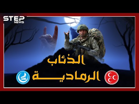 الذئاب الرمادية التركية تظهر علنا في سوريا لتذيق النظام السوري ما أذاقته للأكراد