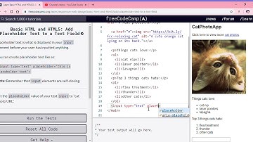 Learn Basic HTML and HTML5  Add Placeholder Text to a Text Field   freeCodeCamp org   Google Chrome
