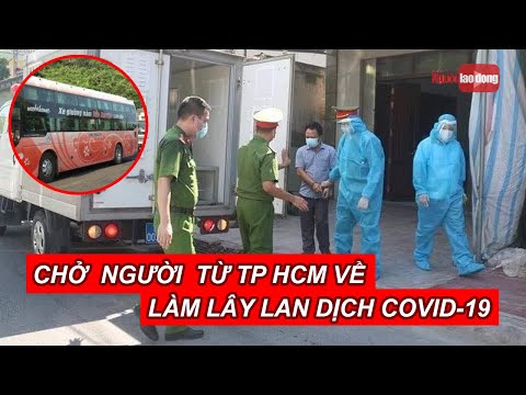 Video Bắt chủ nhà xe chở 46 người từ TP HCM về làm lây lan... - youtube