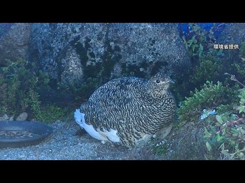 新着 動画 朝日新聞デジタル